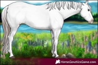 Horse Color:Blue Onyx Ice Splash Tobiano Varnish 