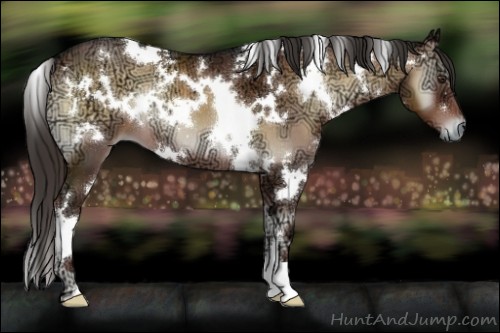 Horse Color:White Spotted Liver Red Onyx Ice