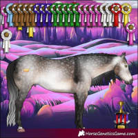 Horse Color:Gray Brown Mushroom 