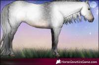 Horse Color:Gray Brown Rabicano 