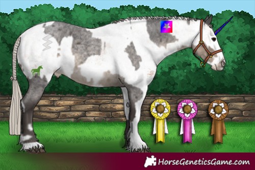 Horse Color:Silver Smoky Blue Roan Frame  and White Spotted Chestnut 