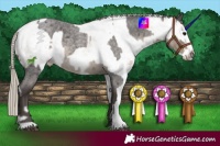 Horse Color:Silver Smoky Blue Roan Frame  and White Spotted Chestnut 