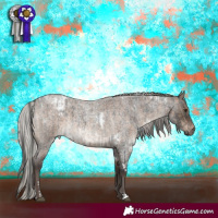 Horse Color:Blue Roan Sabino  and White Spotted Silver Brown Roan Dun 