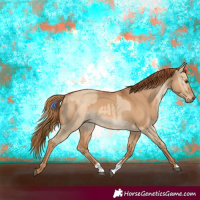 Horse Color:Red Dun and Red Dun