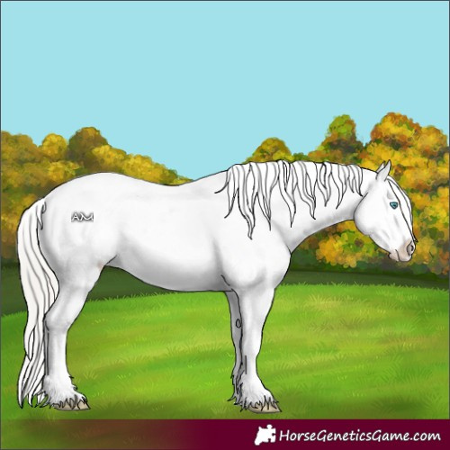 Horse Color:Silver Smoky Black Pearl Sabino Appaloosa 