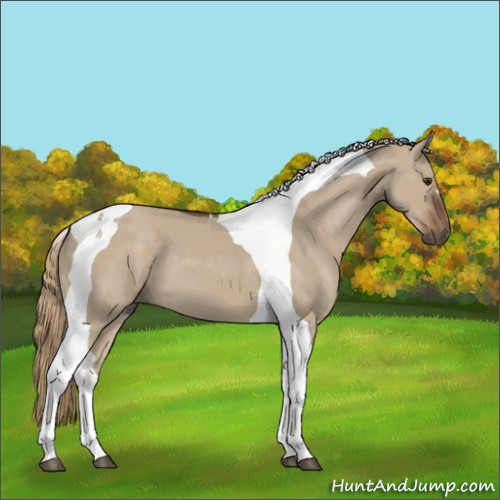 Horse Color:Liver Red Dun Tobiano