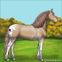 Horse Color:Painted Red Dun Tobiano 