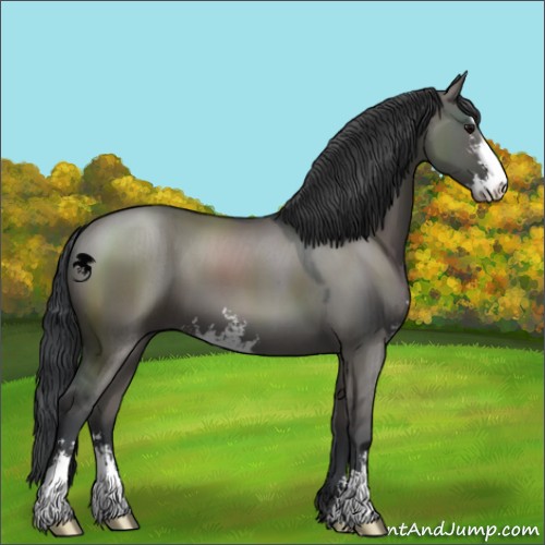 Horse Color:Grullo Sabino