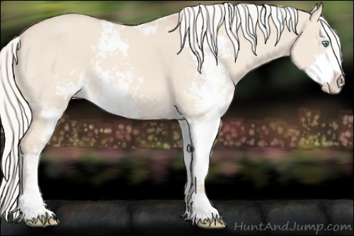 Horse Color:Silver Perlino Dun Sabino 