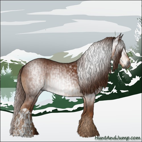 Horse Color:Gray Chestnut  and Gray Chestnut 