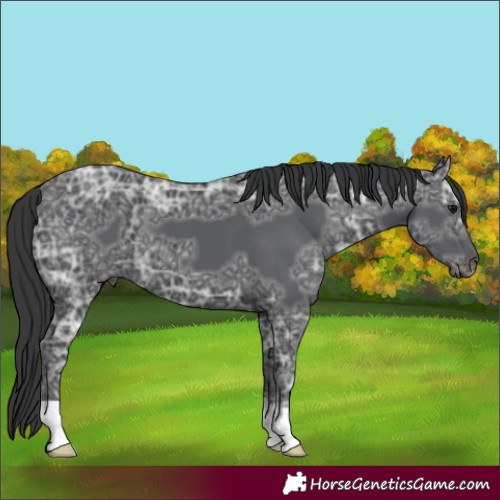 Horse Color:Black Ice 