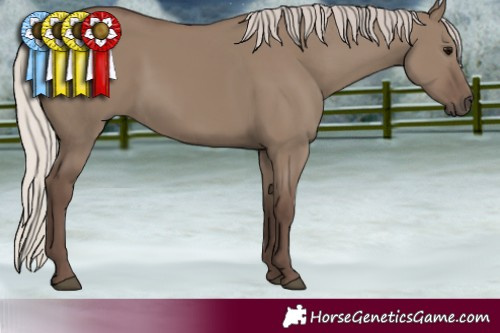 Horse Color:Silver Grullo 