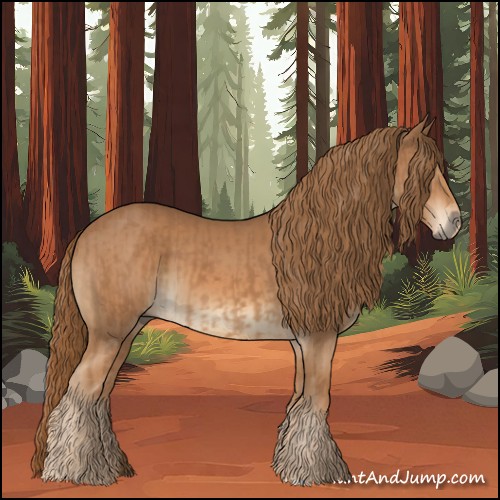 Horse Color:Chestnut and Chestnut