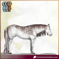 Horse Color:White Spotted Silver Brown Pearl Sabino  and Platinum Chocolate Brown Onyx Splash 