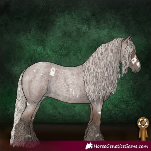Horse Color:White Spotted Silver Blue Roan 
