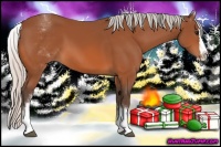 Horse Color:White Spotted Silver Bay Splash