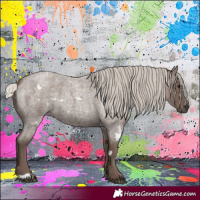 Horse Color:White Spotted Silver Blue Roan 