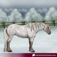Horse Color:White Spotted Silver Blue Roan 