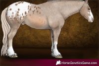 Horse Color:Chocolate Palomino Varnish 