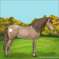 Horse Color:Black Pearl 