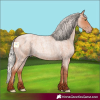 Horse Color:Silver Sable Champagne Roan Rabicano 