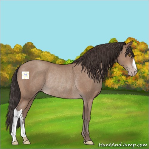 Horse Color:Sable Champagne Rabicano 