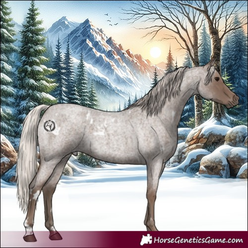 Horse Color:White Spotted Silver Blue Roan 