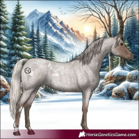 Horse Color:White Spotted Silver Blue Roan 