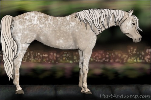 Horse Color:Silver Smoky Black Ice 