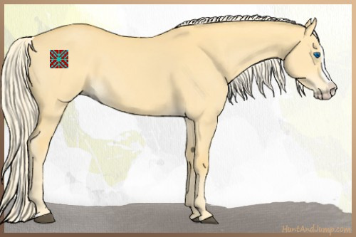 Horse Color:Palomino Dun Splash 