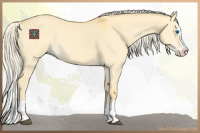 Horse Color:Palomino Dun Splash 