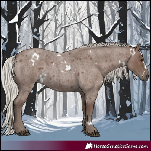 Horse Color:White Spotted Silver Blue Roan