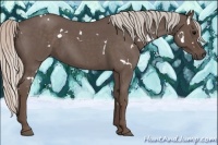 Horse Color:White Spotted Silver Blue Roan 