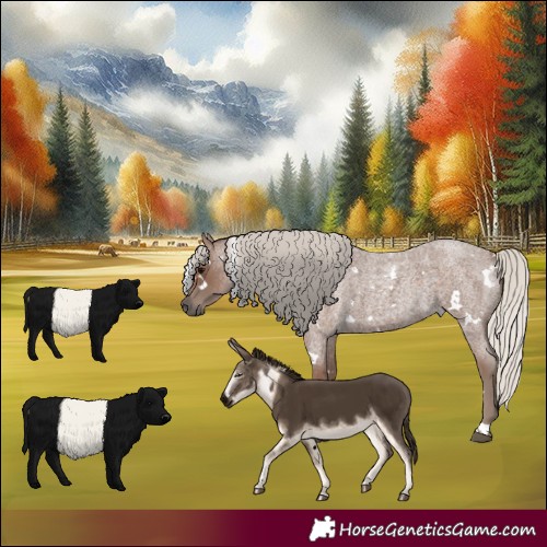 Horse Color:White Spotted Silver Blue Roan 