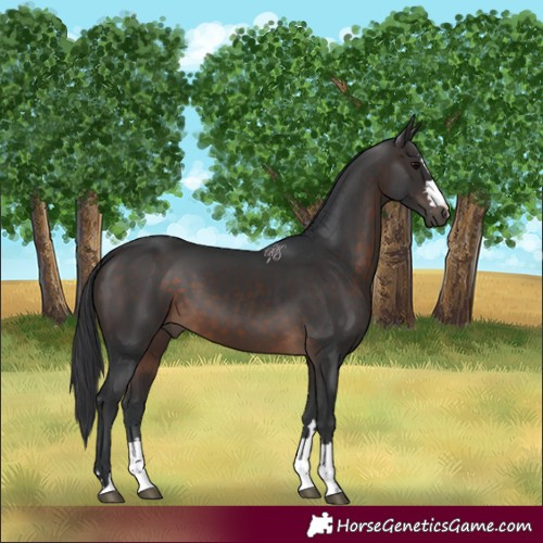 Horse Color:Brown 