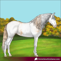 Horse Color:White Spotted Chestnut Splash 