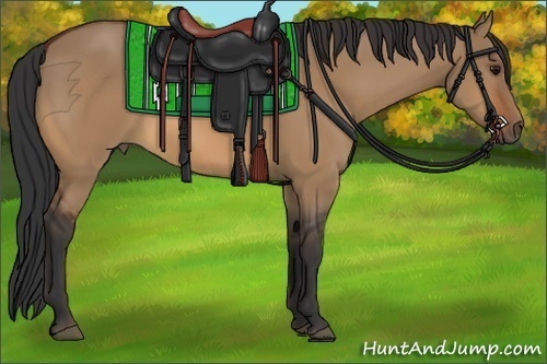Horse Color:Bay Dun