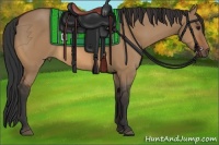Horse Color:Bay Dun