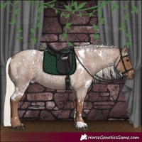 Horse Color:White Spotted Silver Blue Roan 