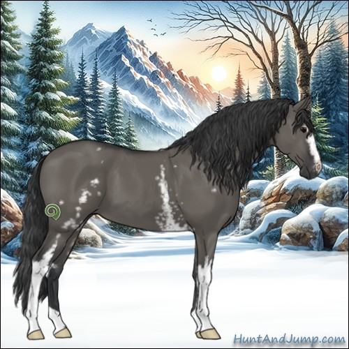 Horse Color:White Spotted Grullo