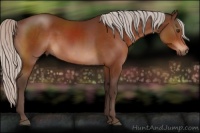 Horse Color:Silver Brown Sabino 