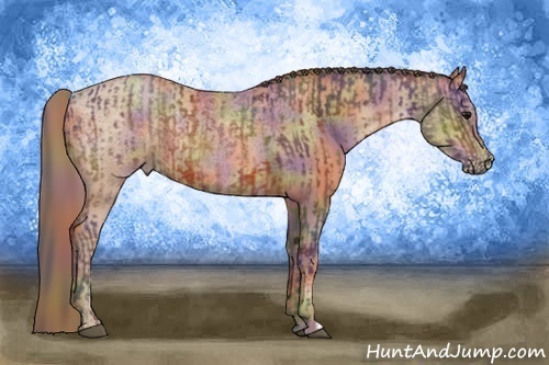 Horse Color:Nacre Bay Rabicano  and Nacre Brown Pearl 