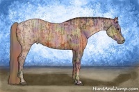 Horse Color:Nacre Bay Rabicano and Nacre Brown Pearl