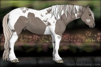 Horse Color:Silver Black Tobiano 