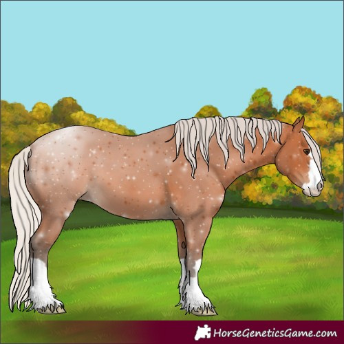 Horse Color:Silver Bay 