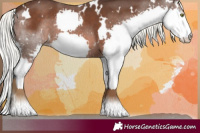 Horse Color:White Spotted Liver Chestnut Mushroom Splash 