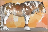 Horse Color:White Spotted Silver Buckskin Mushroom Rabicano
