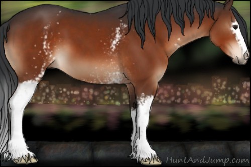 Horse Color:White Spotted Brown