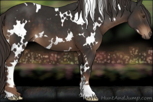 Horse Color:White Spotted Liver Chestnut 