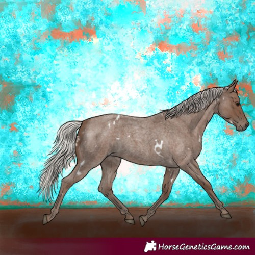Horse Color:White Spotted Silver Blue Roan 